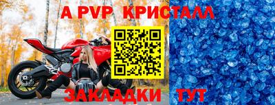 прущие грибы Можайск