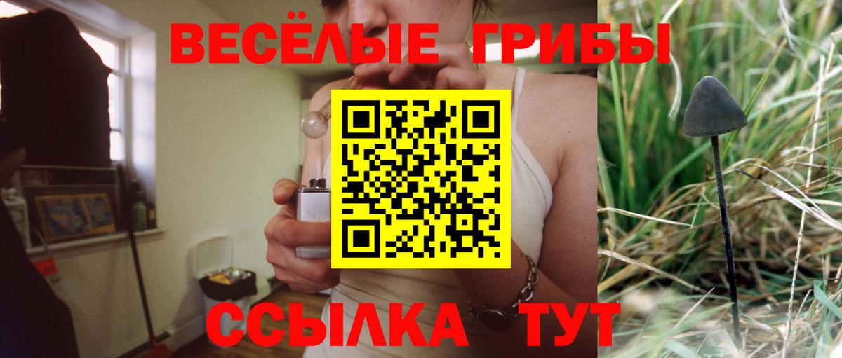 Галлюциногенные грибы GOLDEN TEACHER Солнечногорск