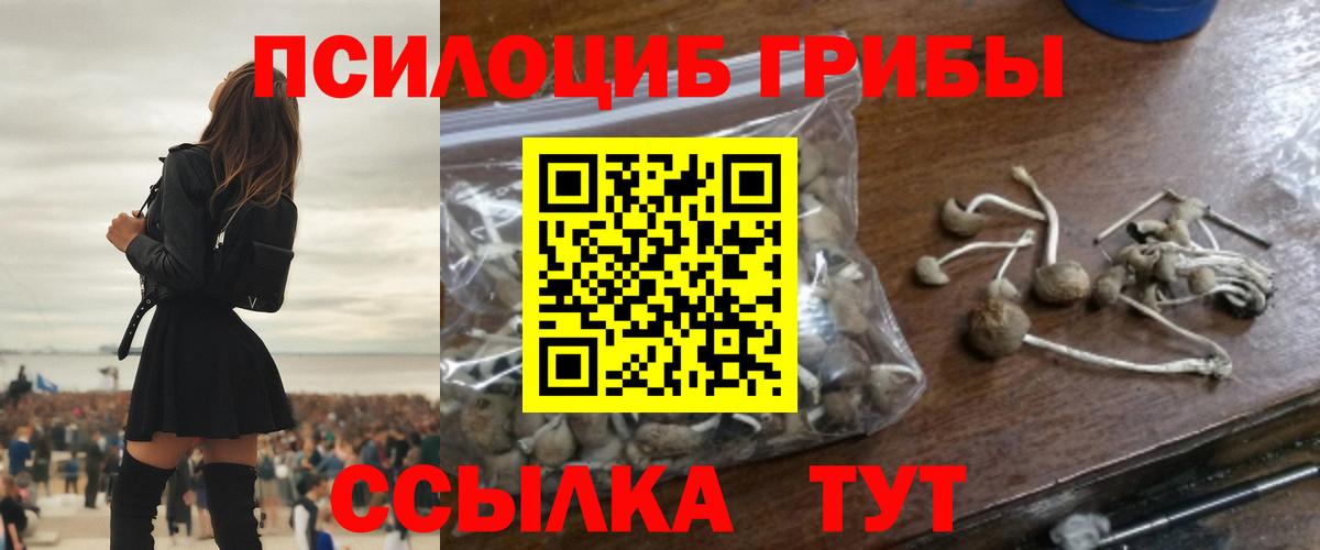 закладка  Вход с VPN  Солнечногорск  Галлюциногенные грибы MAGIC MUSHROOMS 